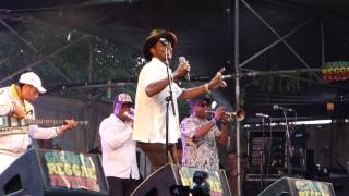 Michael Prophet Fight To The Top (live) garance reggae festival 2014