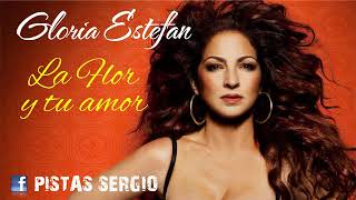 LA FLOR Y TU AMOR - GLORIA ESTEFAN - KARAOKE