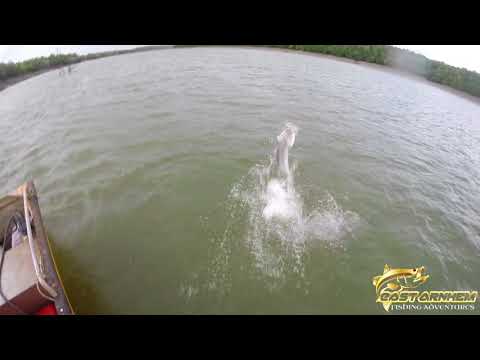 East Arnhem Fishing Adventures