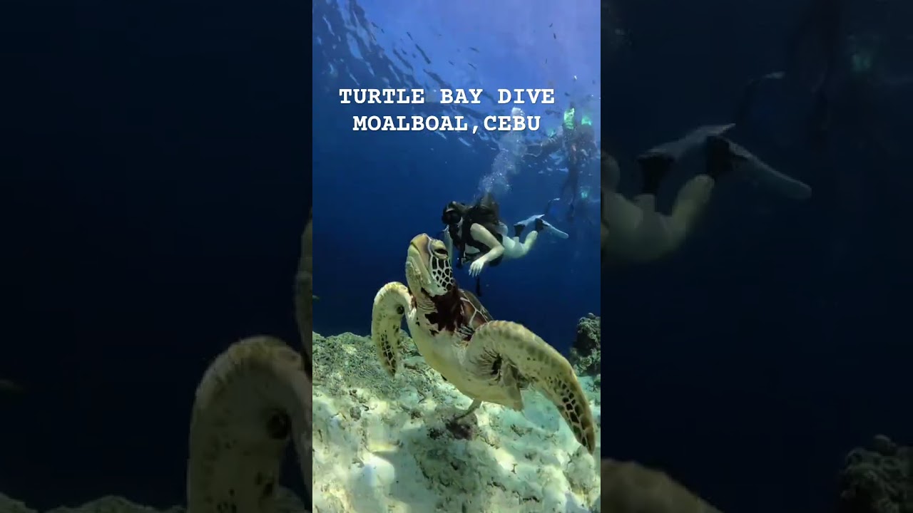 YouTube Short thumbnail