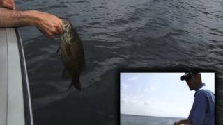 preview picture of video 'Springtime Smallmouth Bass Fishing'