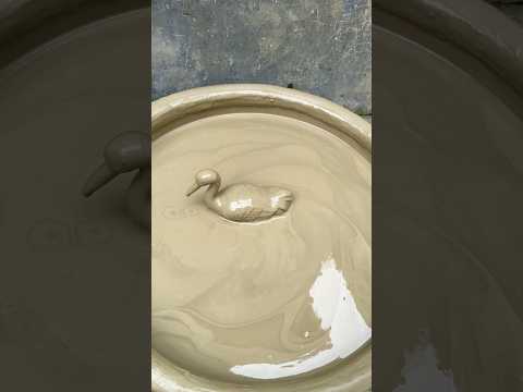 Cleaning Bird satisfying asmr