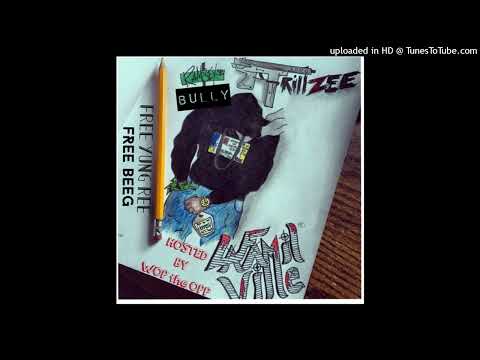 Trillzee - ZONE 5 STORY (432Hz)