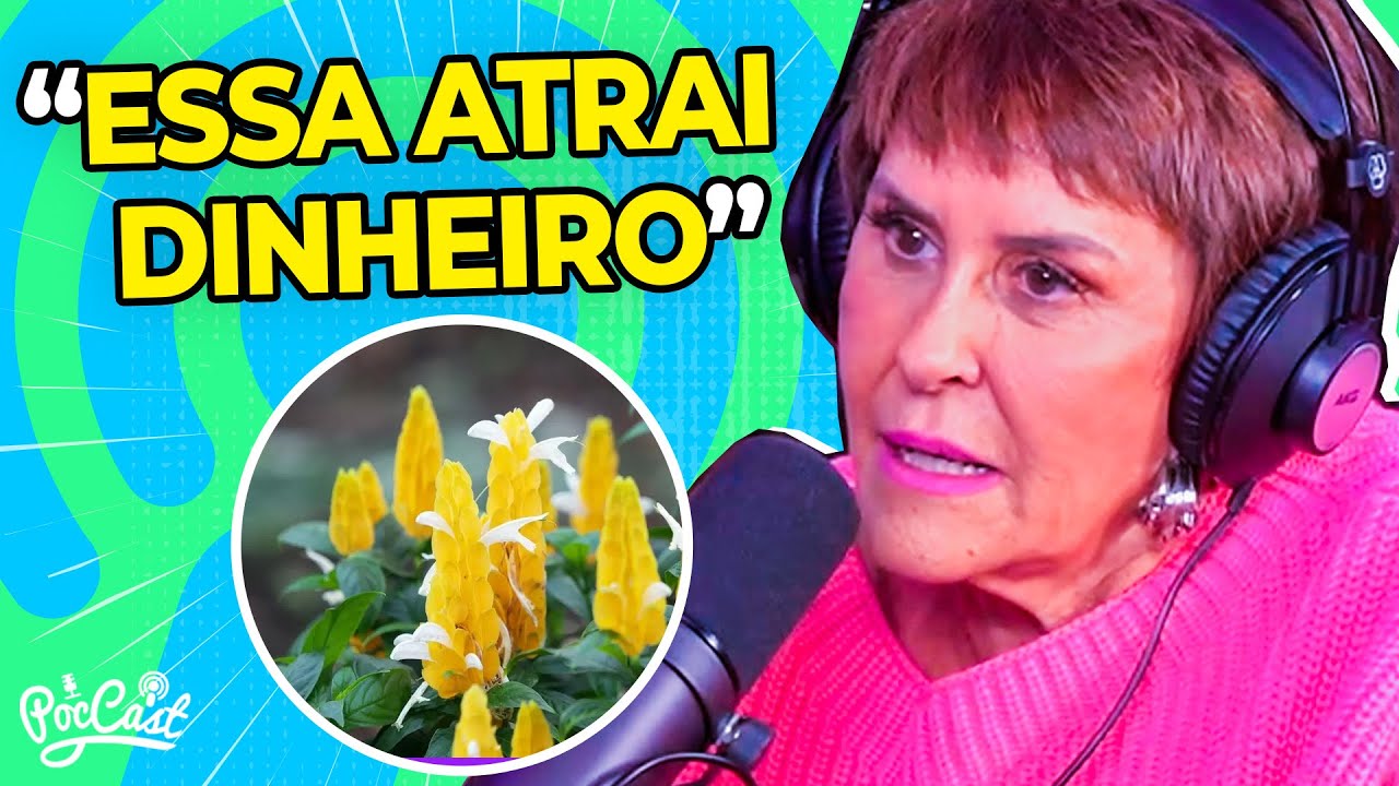 TIPOS DE PLANTAS PARA TER EM CASA! | MÁRCIA SENSITIVA  - Cortes do PocCast