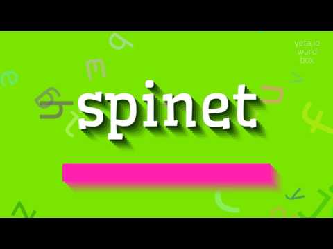 How to say "spinet"! (High Quality Voices)