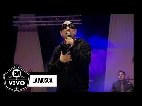 La Mosca video CM Vivo 2012 - Show Completo