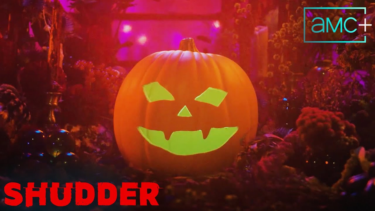 REVENGE OF THE GHOUL LOG | 10 Minutes of the Ghoul Log | Streaming on Shudder