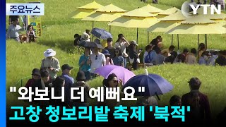 와보니 더 예뻐요...고창 청보리밭 축제 '북적' / YTN