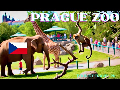 Prague ZOO, Czech Republic - Summer 2024 -Travel Guide -4K 60fps HDR - Walking Tour