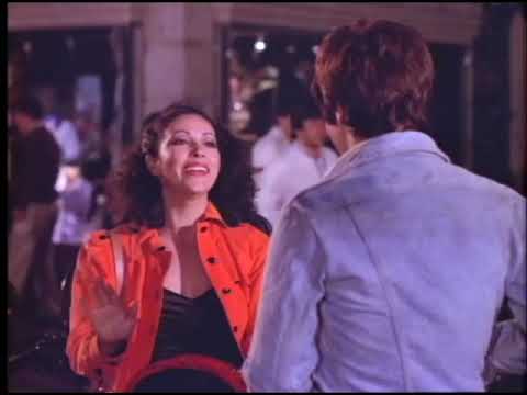 Perro callejero 2 (1981)