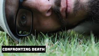 Video 3 trigger image