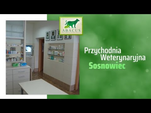 Zobacz filmy, Przychodnia Weterynaryjna "ABACUS" Małgorzata Wasilewska-Golba, Sosnowiec