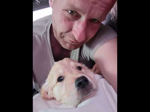 warisha samen met mij onderweg naar huis