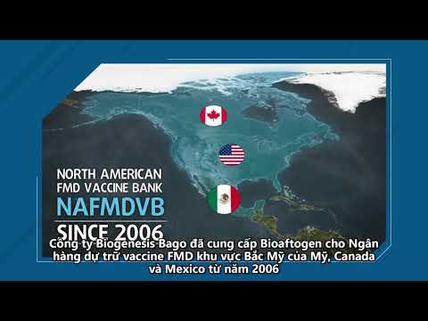 Bioaftogen ASIA Vietnam AMAVET
