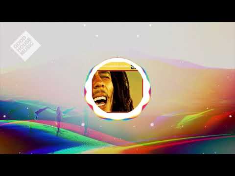 Bob Marley vs. Funkstar De Luxe - Sun Is Shining / 1999 / Classic House