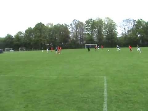 DOVO D3 Roda46 D4 6 2 eendjes