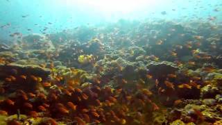 Bali 2013 - Diving - Kasper Svenstrup