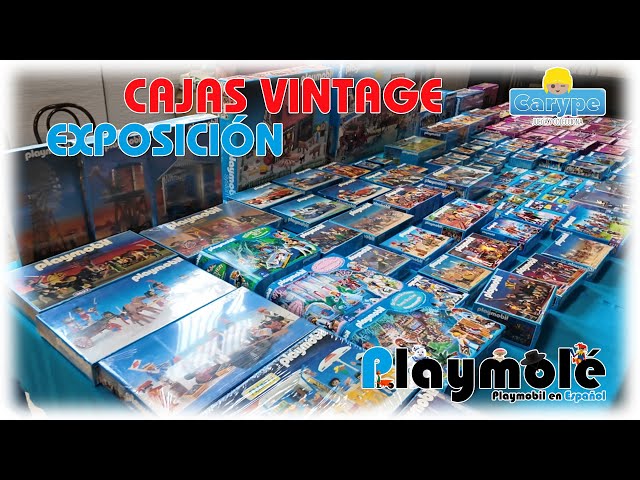 Vídeo relacionado con Playmobil 6536 - Familia Excursionistas - Embalaje Plástico, Sin Caja