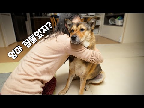 YouTube 썸네일