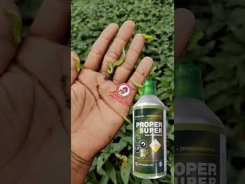 #insecticides