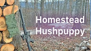 Testing the Bear Creek Arsenal 8.5" 300 Blackout bolt action Upper"