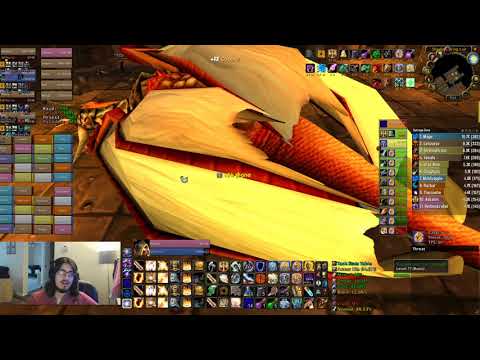 Blackwing Lair VOD - Paladin Tank PoV