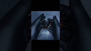 Download lagu Let's open a flower beetle's cocoon! Dicronorhina Derbyana (Beetle ASMR) mp3