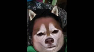Download lagu Gua jadi anjing mp3