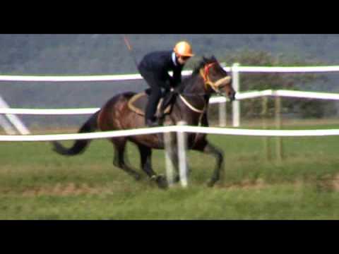 2012-09-17 Slumdogmillionaire trackwork