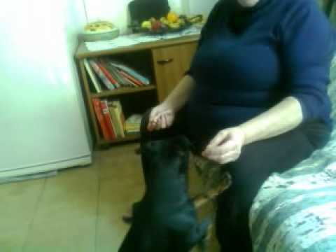 Video0001.3gpCamillo che ha fame  Malvito calabria