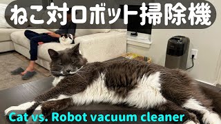 ねこ対ロボット掃除機【Cat vs. Robot vacuum cleaner】