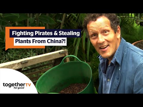 The Plant Thieves Who Stole Plants From China! | The Secret History of The British Garden