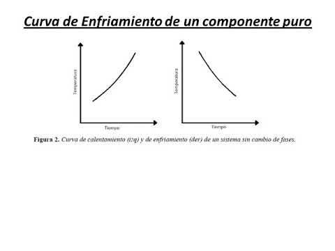 Teoría Diagrama de Fases 1