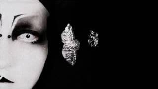 Polar Lights - Nega _ Sidechains Of My Heart