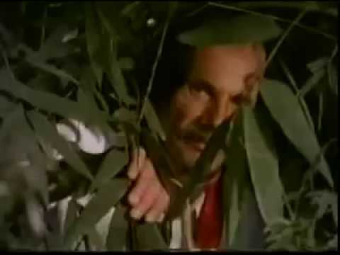 Filme Tropeiro Velho 1980 Teixeirinha Completo