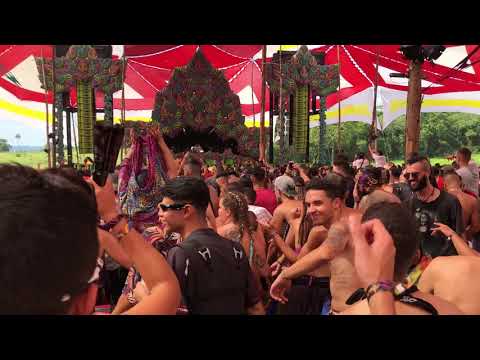 Árvore da Vida 2019 - Neelix