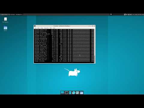 ArcoLinux : 3166 ALCI - Xanmod - Xfce - ATT - 44 ways to install Arch Linux - Arcofy any distro