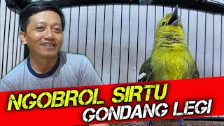 Download lagu NGOBROL SIRTU JAWARA!! berbagi tips settingan sirtu gantangan bersama IVAN mp3