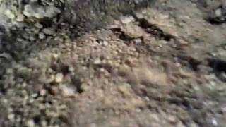 preview picture of video 'edukalakalu sobrevoando campo de embu guaçu'