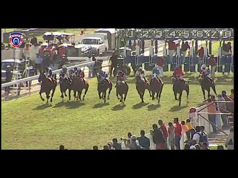 RM18 R7 | Captain Gone Wild | P.Strydom