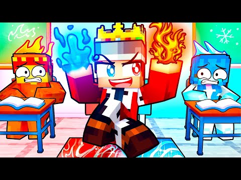 ONE KING in an ALL ELEMENTAL School!