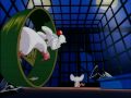 Pinky and The Brain Intro