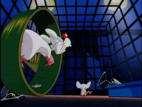 Thumbnail of the video: Pinky and The Brain Intro