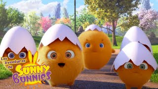 Download lagu HUEVOS LINDO | Las Aventuras de Sunny Bunnies | Dibujos para niños mp3