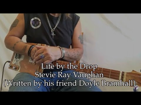 Life By the Drop Stevie Ray Vaughan Beginner Lesson for 3 String Cigar Box Guitar 4 Chord Song