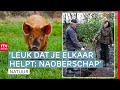 Handen uit de mouwen voor voedselbos | ROEG! | RTV Drenthe
