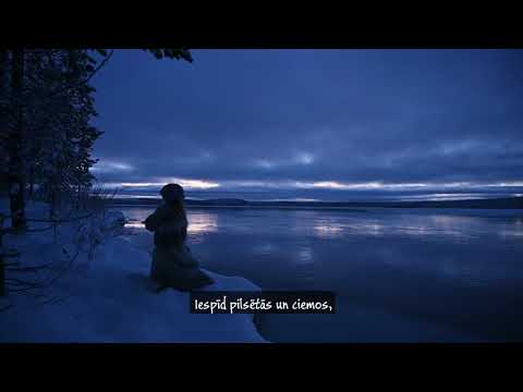 Ziemassvētku zvaigzne