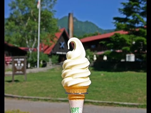 清泉寮へようこそ　八ヶ岳の森の楽しみかた
