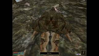 Morrowind clip - How to sell things worth more than 10K