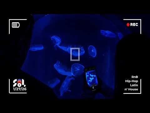 Late Night R&B → House DJ Set (Slow & Sensual) | Sol Sessions